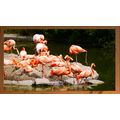 Flamingos by the Water A5 Dark Teak