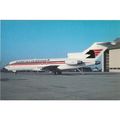 Bloodstock Air Services Boeing B737 25 Aircraft...