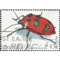 AUSTRALIA, INSECT, Cotton Harlequin Bug, white ...