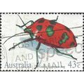 AUSTRALIA, INSECT, Cotton Harlequin Bug, white ...