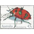 AUSTRALIA, INSECT, Cotton Harlequin Bug, white ...