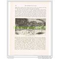 ASSINIE (-MAFIA), IVORY COAST, Book Illustratio...