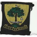 Scout Badge Scotland - City of Glasgow (35mm Sh...