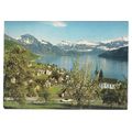 WEGGIS , SWITZERLAND used postcard 1982 postmark =