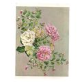 rose flowers used postcard medici society =