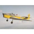 Miles Magister Training Aircraft Military Aircr...