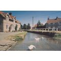 Brookside Hovingham Yorkshire Fussy Swans Smell...
