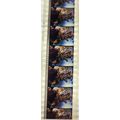 RETURN OF THE LIVING DEAD PK MTP - b050X . 1 ST...