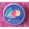 Pin Badge, Metal & Enamel: IGESA