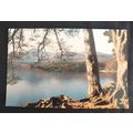 The English Lakes, Derwentwater From Friars Cra...