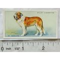 1937 Wills Dogs No. 27 St. Bernard