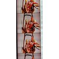 Bee Gee's. Pk MTP -BGs - A018r . 1 STRIP OF 5 -...