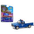 1981 Chevrolet C-10 Custom Deluxe Pickup Truck ...