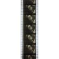 NOTORIOUS. Pk MTP - A010j. 1 STRIP OF 5 - 35MM ...