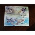 Guernsey 2006 Endangered Species Florida Evergl...