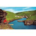 BOSCASTLE HARBOUR postcard