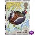 Great Britain 1980 Wild Birds 13p Moorhen Unmou...