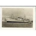 Swedish East Asia Co. MV BALI Company Postcard