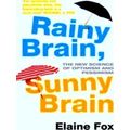 Rainy Brain Sunny Brain