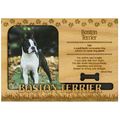 Boston Terrier Engraved Wood Picture Frame Magnet