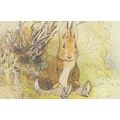 The Tale Of Benjamin Bunny 1904 Beatrix Potter ...