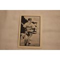 Billy Hoeft 1983 Card Collectors 1953 BOWMAN BL...