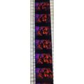 Dracula . Pk RED - A016p . 1 STRIP OF 10 - 35MM...