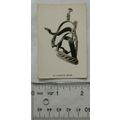 1937 Tournament Cigarette Coronation Souvenir 3...
