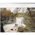 Falls of Rogie Ross-shire Postcard used VGC