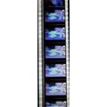 Back to the Future 2. Pk HCH - b029C . - 1 STRI...