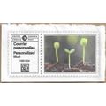 2024 Personalized Mail Plant 16060