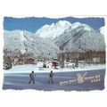 Ferien Hotel Larchen Hof Austria Postcard used VGC