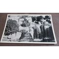 Lincoln Green Postcard - Waterfall @ Madeira Wa...
