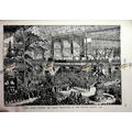 Queen Victoria Opening Great Exhibition, 1851 (...
