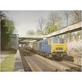 23x17cms coloured plate of Hymek no 7018 at Syd...