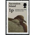 Ascension 1996 Birds and Their Young 1p Multico...