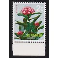 Ryukyu Chinese ixora Flower 'Ixora chinensis' 1...