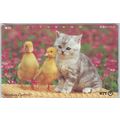 Kitten & Ducklings Japan NTT Phone Card