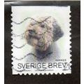 SWE 2008 (5.50K) 'DOGS' FINE USED (EBID 39-894)