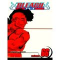 Bleach, Vol. 66 by Tite Kubo