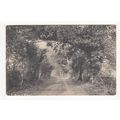 Long Lane Quidenham Postcard Norfolk