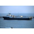 SL0713 - Italian Ferry - Canguro Fulvo - photog...
