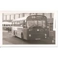 Black & White Photograph of Western Welsh Omnib...