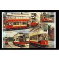 tm6645 - Manchester Corporation Tramways 1901-4...