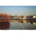 D023129 The Thames at Richmond. Mrs. W. Brown. ...