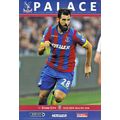 CRYSTAL PALACE v STOKE CITY PREMIER LEAGUE 2014/15