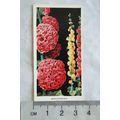 1936 Carreras Flowers No. 45 Hollyhocks