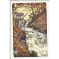 7198 Wales BETTWS-Y-COED Swallow Falls Tuck Oil...