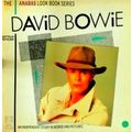 David Bowie - An Independent Story in Words and Pictures by James Palmer