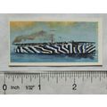 Lyons Tea card HMS 1902-1962 No. 12 HMS Argus, ...